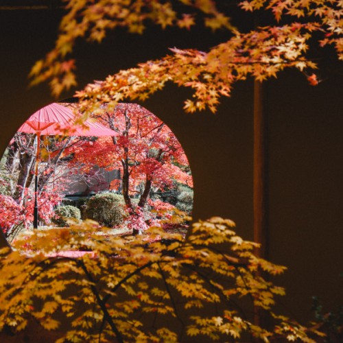 仙台フォト散歩 松島で紅葉めぐり
