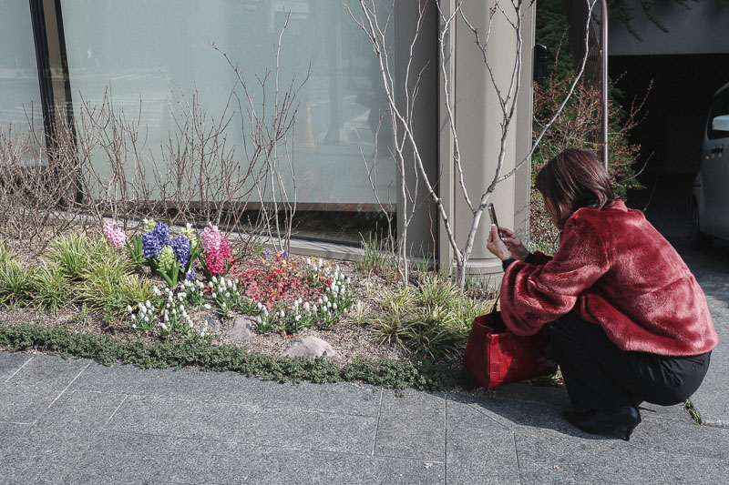 韓国・ソウルの花のスタジオ『The Rouge ザ・ルージュ』を見学しました