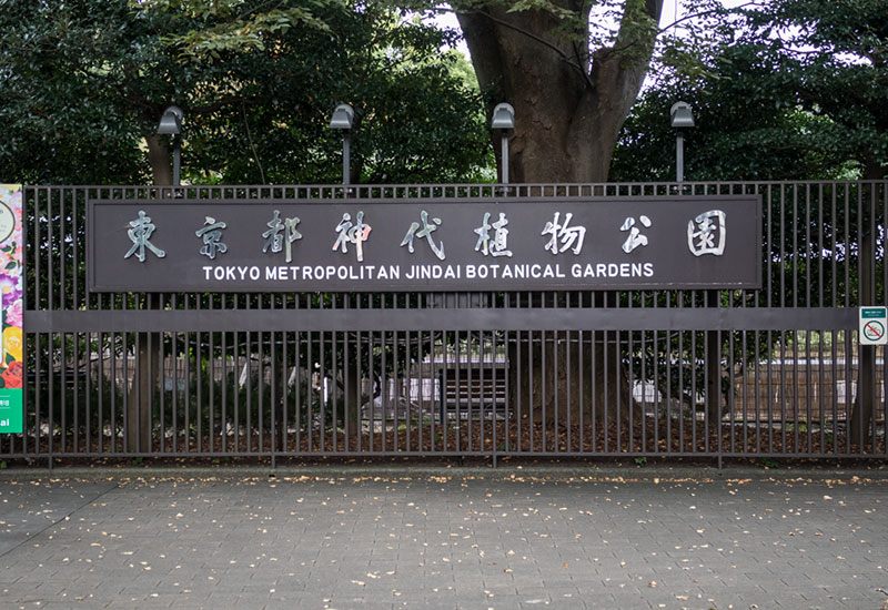 パリスタイルフラワー教室開業 ビジネスの仕組み作りとweb集客で売れるスクールへ 東京 世田谷 羽根木 KOLME（コルメ）神代植物公園