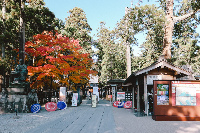 仙台フォト散歩 松島で紅葉めぐり