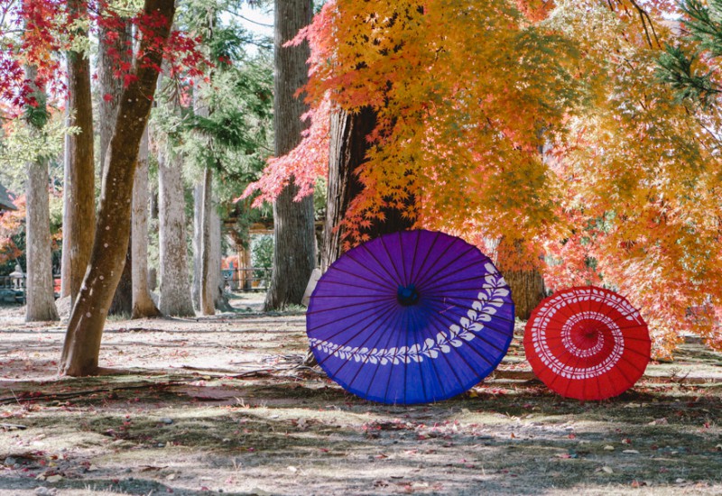 仙台フォト散歩 松島で紅葉めぐり
