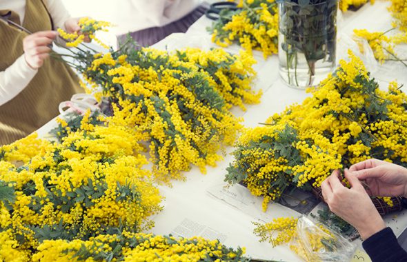 レポート】まぶしい黄色で春のお祝い 2019年ミモザリースレッスン 
