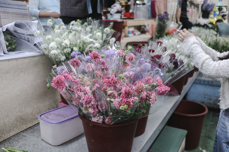 ソウル江南カンナム高速バスターミナル花市場で花を買ってみた